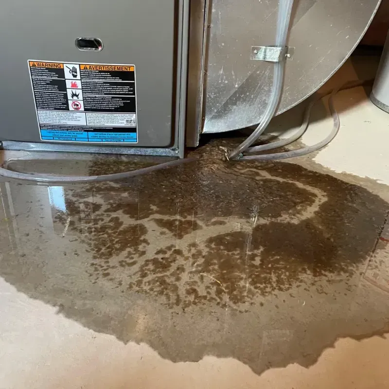 Appliance Leak Cleanup in Bradley, IL